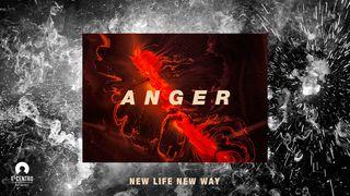 [New Life New Way] Anger Przysłów 29:22 UWSPÓŁCZEŚNIONA BIBLIA GDAŃSKA