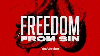 Freedom From Sin Romanos 7:14-17 O Livro