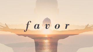 FAVOR 马太福音 9:1 新译本