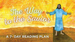 The Way To The Savior - A Family Easter Devotional யோபு 11:18 இந்திய சமகால தமிழ் மொழிப்பெயர்ப்பு 2022