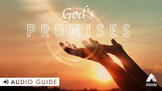 God's Promises John 10:29-30 New Century Version