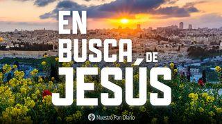  En busca de Jesús 2 Timoteo 1:13 Reina Valera Contemporánea