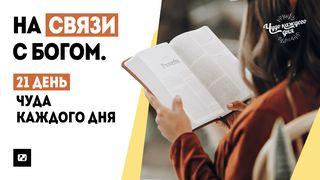 На связи с Богом. 21 день Чуда каждого дня.  Mateus 4:4 Biblia Livre Para Todos