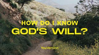 How Do I Know God’s Will? Luke 22:39-71 King James Version