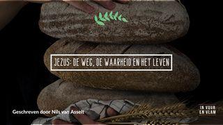 Jezus: de Weg, de Waarheid en het Leven Numeri 22:28 BasisBijbel