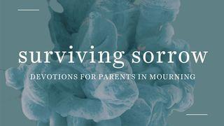 Surviving Sorrow: Devotions for Parents in Mourning Psalms 18:16-19 New International Version