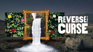 Reverse the Curse: How Jesus Moves Us From Death to Life Openbaring 22:7 BasisBijbel