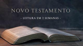 Novo Testamento Marcos 1:10-11 Almeida Revista e Atualizada