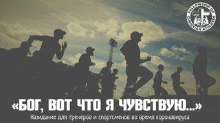 «Бог, вот что я чувствую...» К Филиппийцам 4:8-9 Святая Библия: Современный перевод