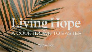 Living Hope: A Countdown to Easter John 20:3-10 New International Version