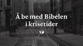 Å be med Bibelen i krisetider Første Mosebok 9:16 Bibelen – Guds Ord 2017