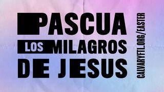 El Milagro de Pascua 1 Corintios 11:23-24 La Biblia de las Américas