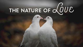 The Nature of Love Deuteronomium 3:22 Het Boek