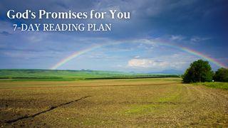 God's Promises for You Jesaja 49:13 NBG-vertaling 1951