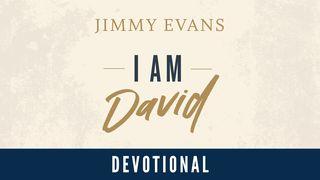 I Am David  诗篇 66:3 新译本