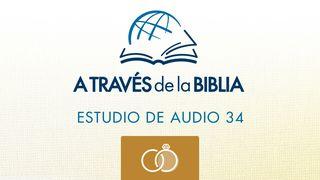 A través de la Biblia - Escucha el libro de Cantares Cantares 2:3-4 Nueva Versión Internacional - Español