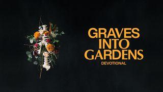 Graves Into Gardens: Restoring Hope in Dead Places 历代志上 29:8-9 新标点和合本, 神版