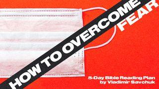 How to Overcome Fear Atos 27:25 Almeida Revista e Corrigida