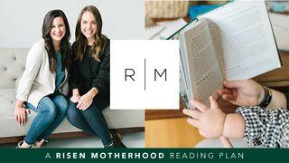 Risen Motherhood Ephesians 2:11-21 Amplified Bible