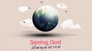 Seeing God: Job’s Suffering and God’s Wisdom Job 38:1-11 New International Version