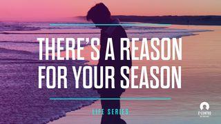 There's A Reason For Your Season - #Life Series Jeremia 6:16 Svenska Folkbibeln 2015