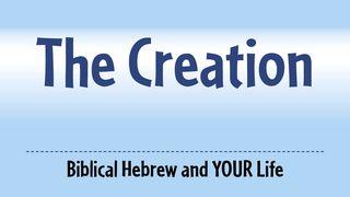Three Words From The Creation Génesis 1:4 El Nuevo Testamento y unos libros del Antiguo Testamento