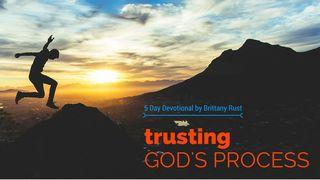 Trusting God's Process Spreuken 11:28 Herziene Statenvertaling