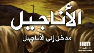  مدخل إلى الأناجيل Luk 4:18-19 Profet Yonab / Dora Nama Lukede Feiaga