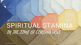 Spiritual Stamina in the Time of Coronavirus До римлян 15:4 Біблія в пер. Івана Огієнка 1962