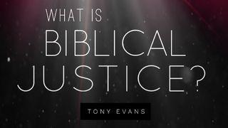 What is Biblical Justice? Psalmen 89:14 BasisBijbel