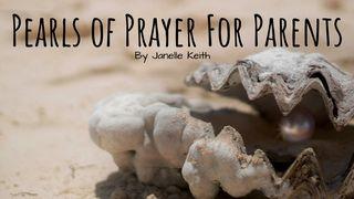 Pearls of Prayer for Parents De Brief van den Apostel Paulus aan Titus 1:15 Statenvertaling (Importantia edition)