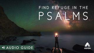 Find Refuge in the Psalms Psalmen 131:2 BasisBijbel