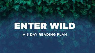 Enter Wild: A 5-Day Devotional by Carlos Whittaker مزگینیا مەتتای 5:18 ئنجیلا پیرۆز