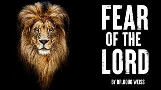 Fear of the Lord Spreuken 17:28 Het Boek