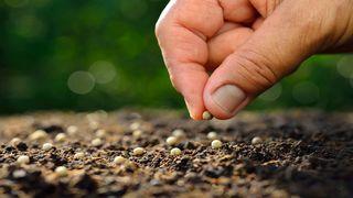 Actitudes para cultivar y fortalecer la vida de fe  Génesis 13:18 Reina Valera Contemporánea