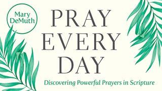 Pray Every Day Matthew 9:22 Amplified Bible