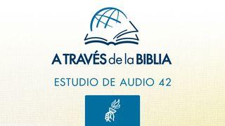 A Través de la Biblia - Escuche el libro de 2 Timoteo 2 Timoteo 1:13 Reina Valera Contemporánea