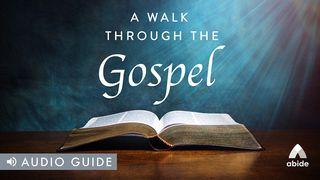 A Walk Through the Gospels Matthew 9:13-15 New Living Translation