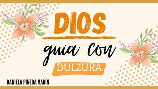 Dios guía con dulzura Juan 21:6 Nueva Versión Internacional - Español