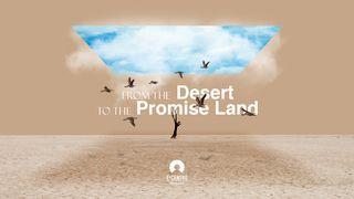 From the Desert to the Promised Land 3. Mozus 11:45 Glika Bībele 8. izdevums