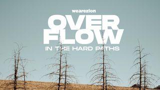 Overflow In The Hard Paths  Psalmen 65:11 Het Boek