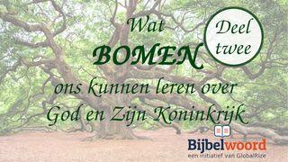 Wat bomen ons kunnen leren over God en zijn Koninkrijk — deel 2 Jesaja 56:4-7 NBG-vertaling 1951