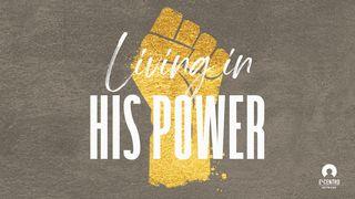 Living In His Power Philippians 3:2-9 New International Version