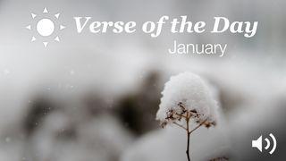 YouVersion Verse Of The Day: January Jesaja 29:13 BasisBijbel