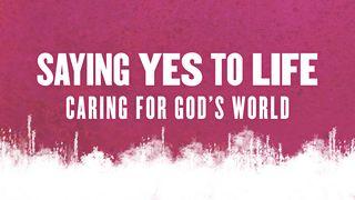 Saying Yes To Life ေဟ႐ွာယအနာဂတၱိက်မ္း 65:25 ျမန္​မာ့​စံ​မီ​သမၼာ​က်မ္