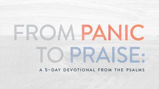 From Panic to Praise: A 5-Day Devotional From the Psalms Psalmen 94:18 Het Boek