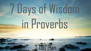 7 Days Of Wisdom In Proverbs Spreuken 1:1-4 Het Boek