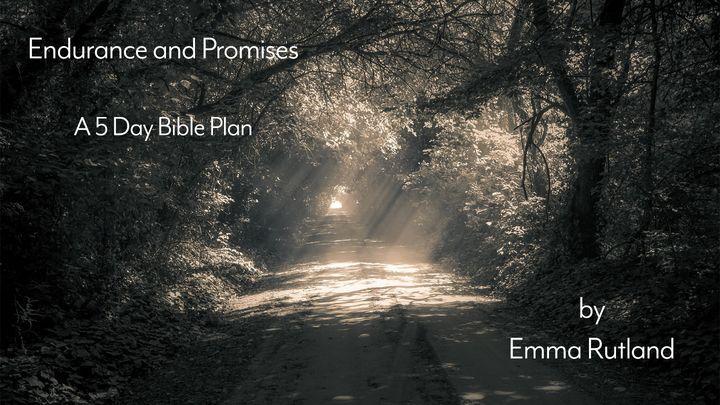 Endurance and Promises