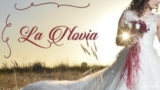 La Novia 1 Corintios 12:4-5 Reina Valera Contemporánea