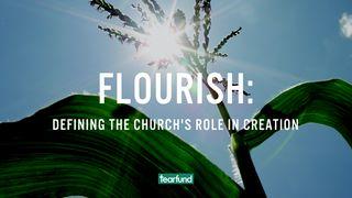 Flourish: Defining the Church's Role in Creation ハガイ書 1:5-6 リビングバイブル